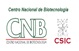 CNB