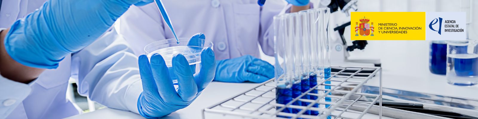 Personal investigador trabajando en un laboratorio
