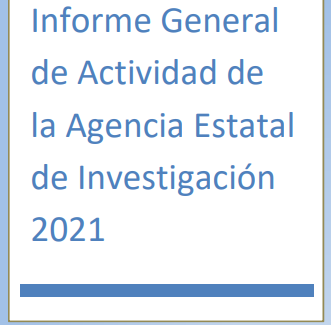 Informe General de Actividad de la AEI 2021 
