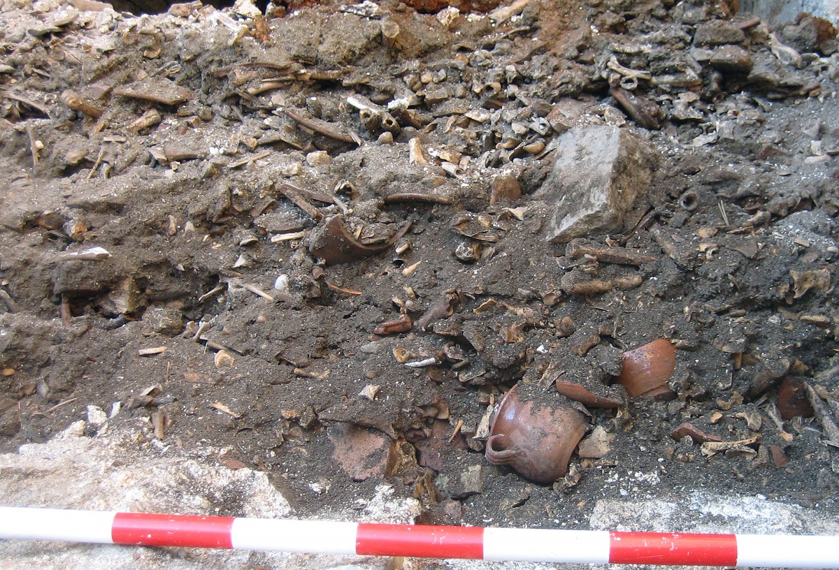 Figura 1