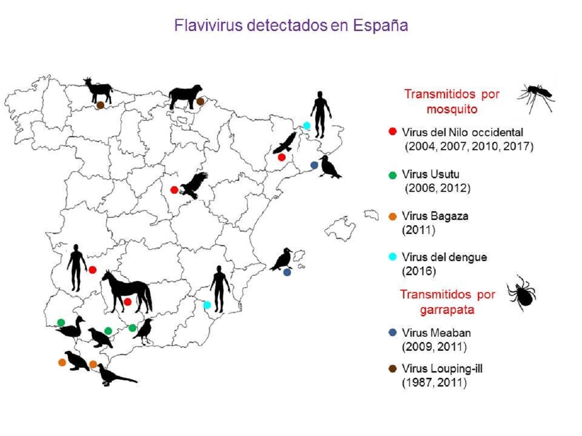 figura1