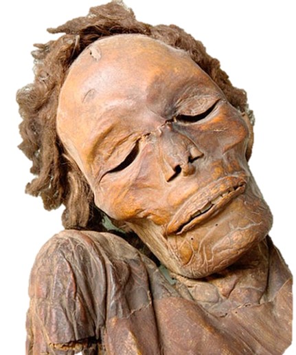 Figura 7