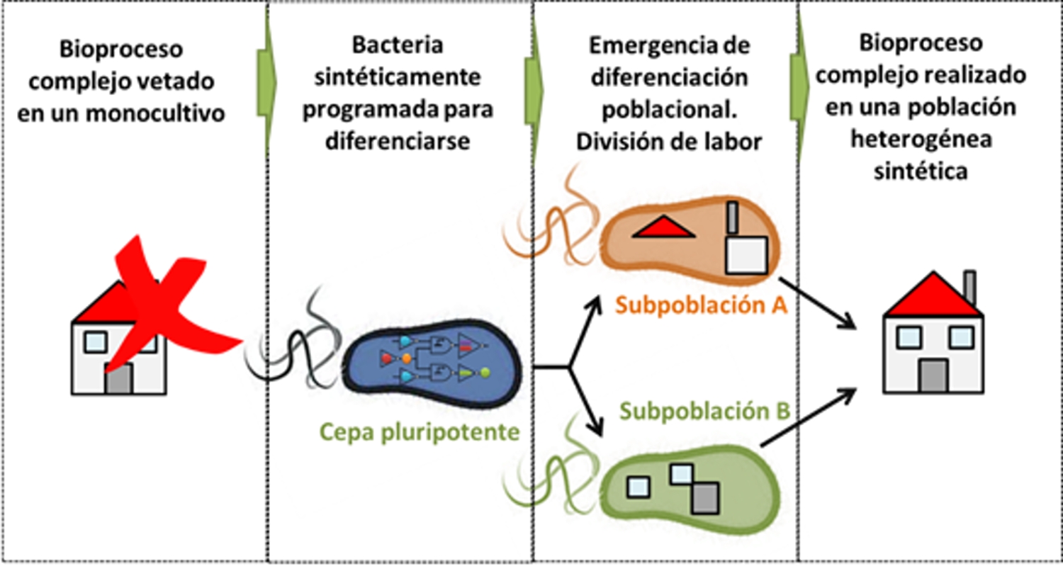 Figura 1