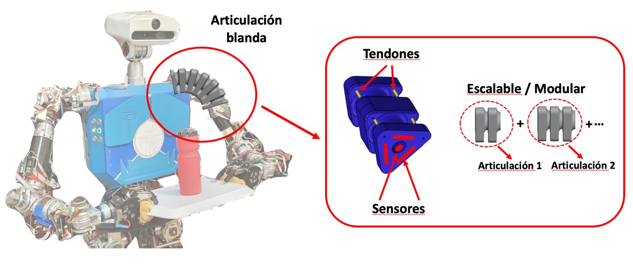 Figura 2