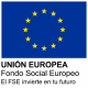 Fondo Social Europeo