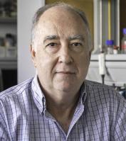 Blasco Moreno, Julián Blasco Moreno, Julián