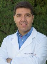 Vicent Cambra, Silvestre Vicent Cambra, Silvestre