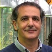 Carlos Alonso Blanco