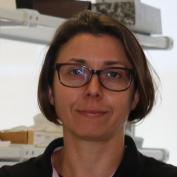 Mari Carmen Gómez Cabrera