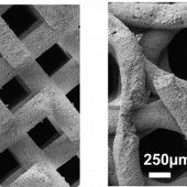 Construcción de hueso sintético mediante tecnologías de impresión 3D y plasma.