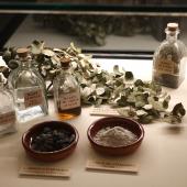Recetas y conocimientos de la sociedad   medieval para el siglo XXI